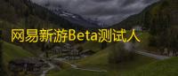 网易新游Beta测试人员正在招募中！