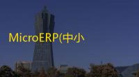 MicroERP(中小企业资源管理系统) 2.2.102 官方版